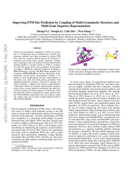 Improving PTM Site Prediction by Coupling of Multi-Granularity Structure
  and Multi-Scale Sequence Representation