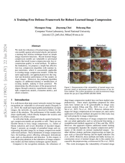 A Training-Free Defense Framework for Robust Learned Image Compression