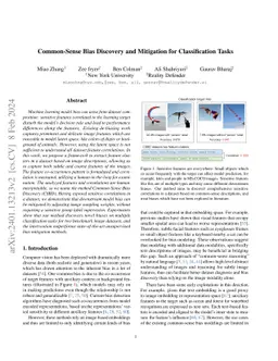 Common-Sense Bias Modeling for Classification Tasks