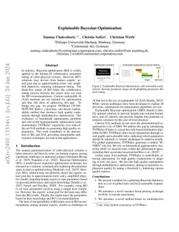 Explainable Bayesian Optimization