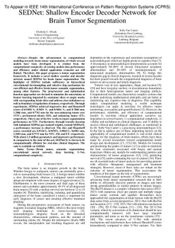 SEDNet: Shallow Encoder-Decoder Network for Brain Tumor Segmentation