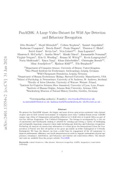 PanAf20K: A Large Video Dataset for Wild Ape Detection and Behaviour
  Recognition