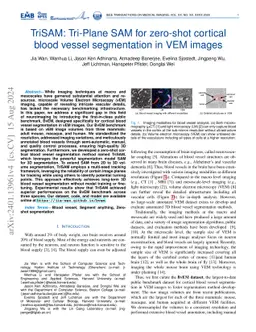 TriSAM: Tri-Plane SAM for zero-shot cortical blood vessel segmentation
  in VEM images