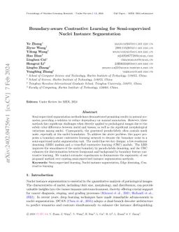 Boundary-aware Contrastive Learning for Semi-supervised Nuclei Instance
  Segmentation