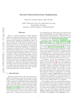 Succinct Interaction-Aware Explanations