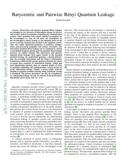 Barycentric and Pairwise Renyi Quantum Leakage