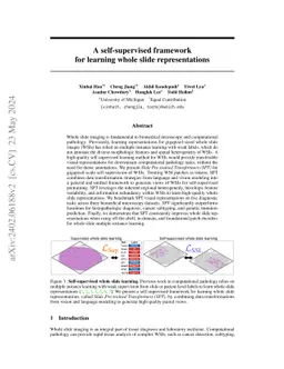 A self-supervised framework for learning whole slide representations