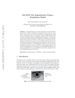 Iris-SAM: Iris Segmentation Using a Foundation Model