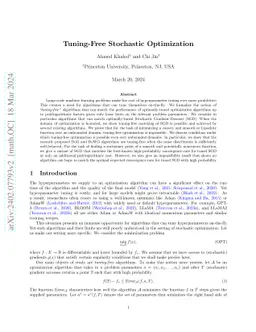 Tuning-Free Stochastic Optimization
