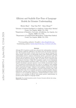 Efficient and Scalable Fine-Tune of Language Models for Genome
  Understanding
