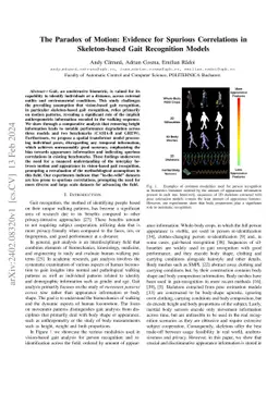 The Paradox of Motion: Evidence for Spurious Correlations in
  Skeleton-based Gait Recognition Models
