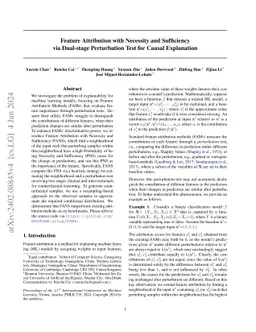 Feature Attribution with Necessity and Sufficiency via Dual-stage
  Perturbation Test for Causal Explanation