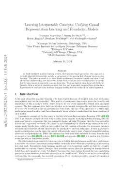 Learning Interpretable Concepts: Unifying Causal Representation Learning
  and Foundation Models