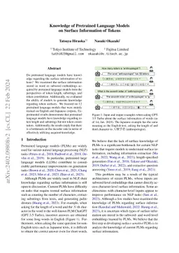 Knowledge of Pretrained Language Models on Surface Information of Tokens