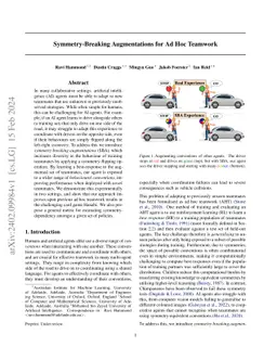 Symmetry-Breaking Augmentations for Ad Hoc Teamwork