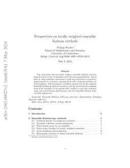 Perspectives on locally weighted ensemble Kalman methods