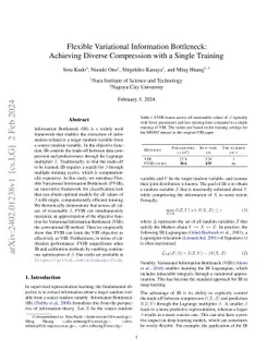 Flexible Variational Information Bottleneck: Achieving Diverse
  Compression with a Single Training