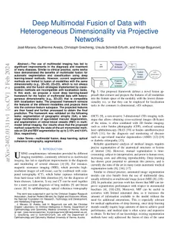 Deep Multimodal Fusion of Data with Heterogeneous Dimensionality via
  Projective Networks