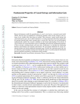 Fundamental Properties of Causal Entropy and Information Gain