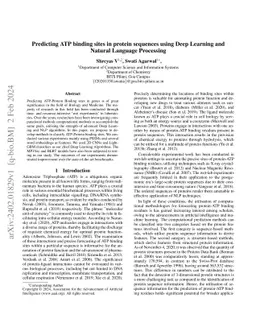Predicting ATP binding sites in protein sequences using Deep Learning
  and Natural Language Processing