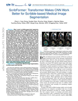 ScribFormer: Transformer Makes CNN Work Better for Scribble-based
  Medical Image Segmentation
