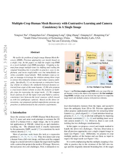 Multiple-Crop Human Mesh Recovery with Contrastive Learning and Camera
  Consistency in A Single Image