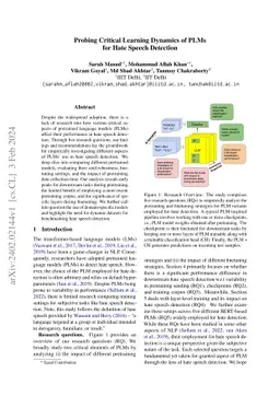 Probing Critical Learning Dynamics of PLMs for Hate Speech Detection
