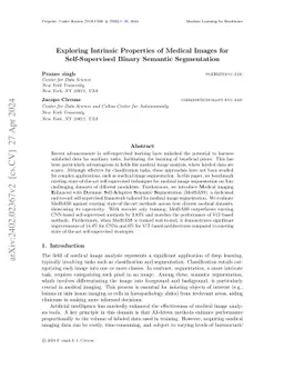 Exploring Intrinsic Properties of Medical Images for Self-Supervised
  Binary Semantic Segmentation