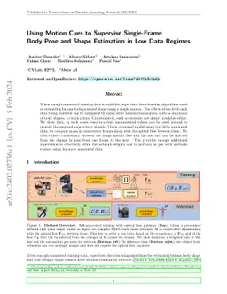 Using Motion Cues to Supervise Single-Frame Body Pose and Shape
  Estimation in Low Data Regimes