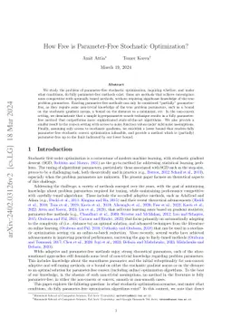 How Free is Parameter-Free Stochastic Optimization?