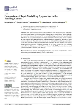 Comparison of Topic Modelling Approaches in the Banking Context