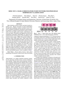 SHMC-Net: A Mask-guided Feature Fusion Network for Sperm Head Morphology
  Classification