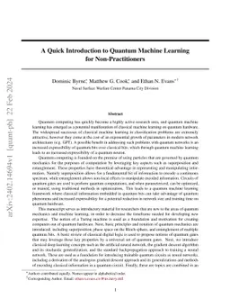 A Quick Introduction to Quantum Machine Learning for Non-Practitioners