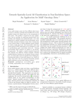 Towards Spatially-Lucid AI Classification in Non-Euclidean Space: An Application for MxIF Oncology Data