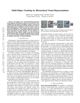 Multi-Object Tracking by Hierarchical Visual Representations