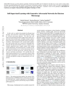 Self-Supervised Learning with Generative Adversarial Networks for
  Electron Microscopy