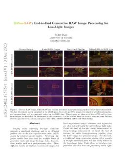 DiffuseRAW: End-to-End Generative RAW Image Processing for Low-Light
  Images