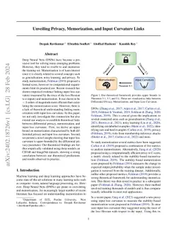 Unveiling Privacy, Memorization, and Input Curvature Links