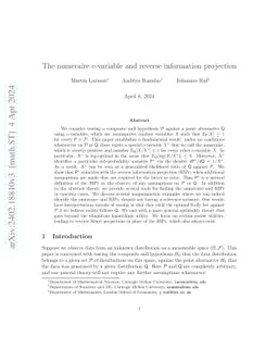 The numeraire e-variable and reverse information projection