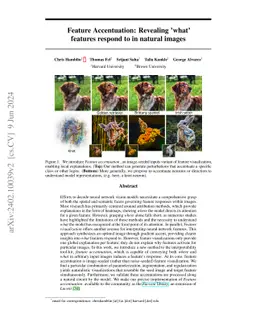 Feature Accentuation: Revealing 'What' Features Respond to in Natural
  Images