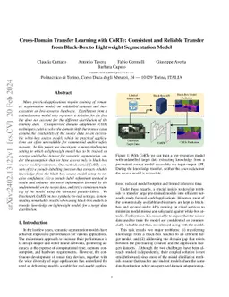 Cross-Domain Transfer Learning with CoRTe: Consistent and Reliable
  Transfer from Black-Box to Lightweight Segmentation Model