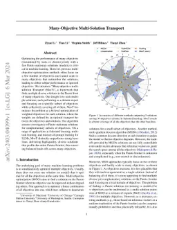 Many-Objective Multi-Solution Transport