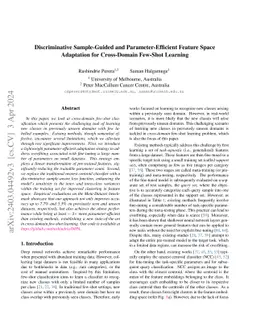 Discriminative Sample-Guided and Parameter-Efficient Feature Space
  Adaptation for Cross-Domain Few-Shot Learning