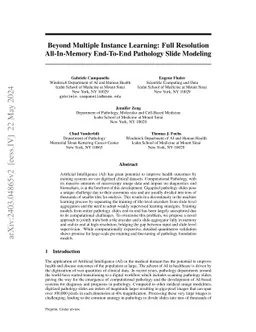 Beyond Multiple Instance Learning: Full Resolution All-In-Memory
  End-To-End Pathology Slide Modeling