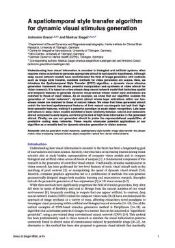 A spatiotemporal style transfer algorithm for dynamic visual stimulus
  generation