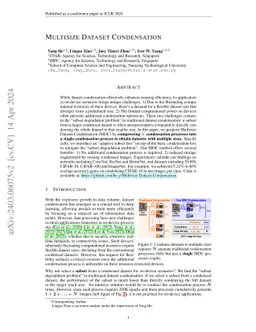 Multisize Dataset Condensation