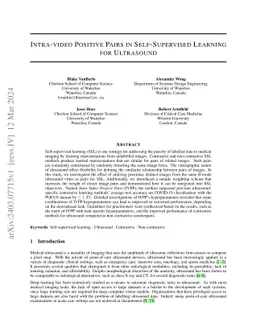 Intra-video Positive Pairs in Self-Supervised Learning for Ultrasound
