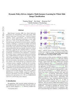 Dynamic Policy-Driven Adaptive Multi-Instance Learning for Whole Slide
  Image Classification