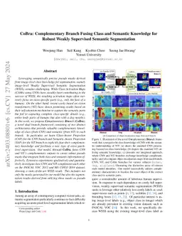 CoBra: Complementary Branch Fusing Class and Semantic Knowledge for
  Robust Weakly Supervised Semantic Segmentation
