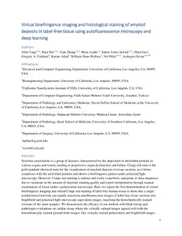 Virtual birefringence imaging and histological staining of amyloid
  deposits in label-free tissue using autofluorescence microscopy and deep
  learning